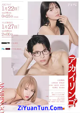 红苹果封面图