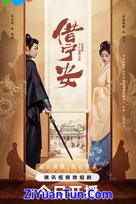 借宁安封面图