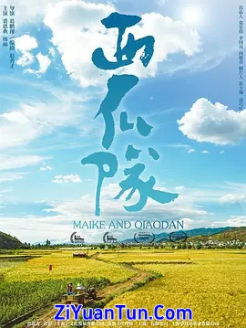 西瓜队封面图