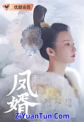 凤婿封面图