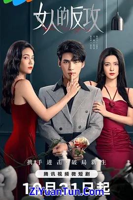 女人的反攻封面图