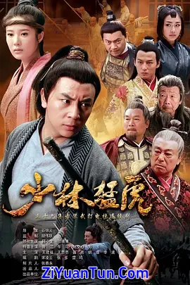 武林猛虎封面图