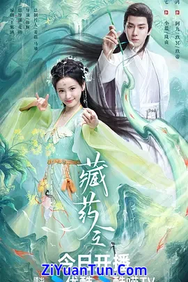 藏药令封面图