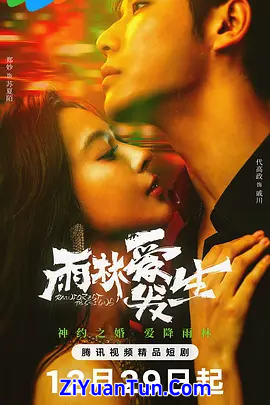 雨林爱发生封面图