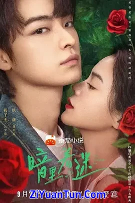 暗里着迷封面图