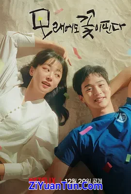 沙之花也有春天封面图
