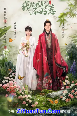 我的医妃不好惹3封面图