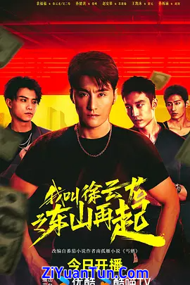 我叫徐云龙之东山再起封面图