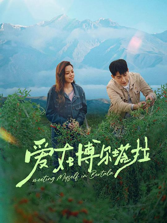 爱在博尔塔拉封面图