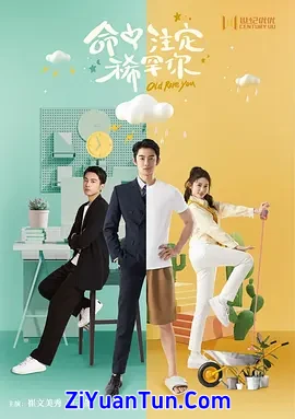 命中注定稀罕你封面图