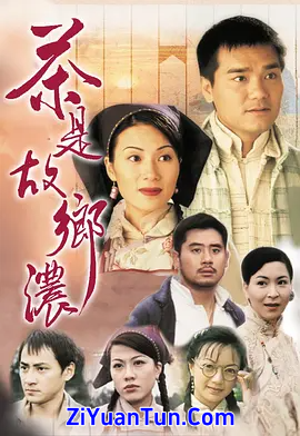 茶是故乡浓封面图