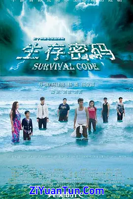生存密码封面图