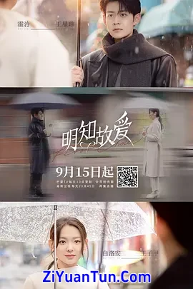 明知故爱封面图