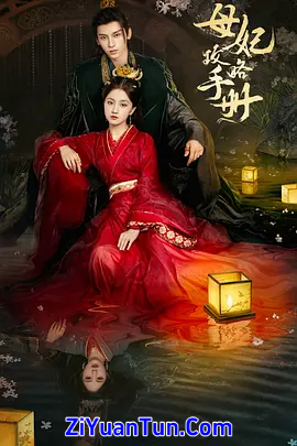 母妃攻略手册封面图