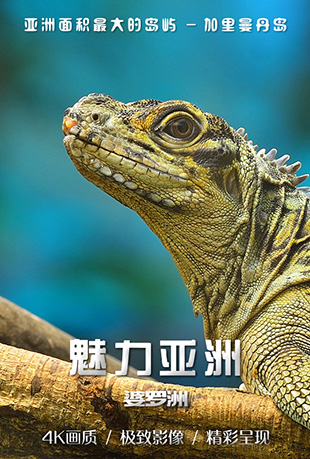 魅力亚洲：婆罗洲封面图