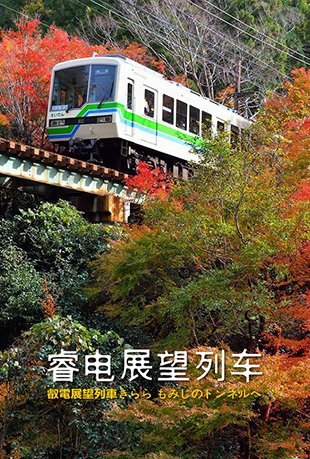 睿电展望列车封面图