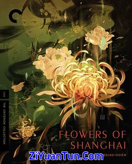 华丽写实—《海上花》制作旅程封面图