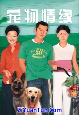 宠物情缘封面图