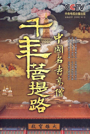 千年菩提路封面图