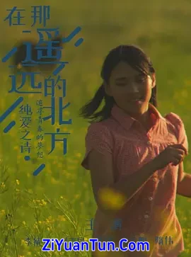 在那遥远的北方封面图