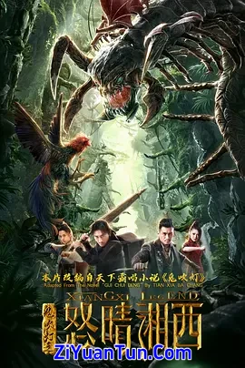 鬼吹灯之怒晴湘西封面图
