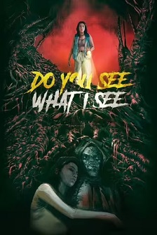 Do You See What I See封面图