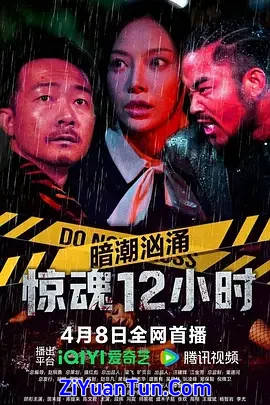 暗潮汹涌之惊魂12小时封面图