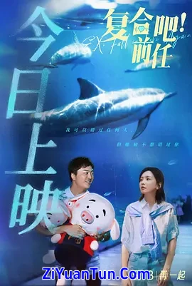 复合吧！前任封面图