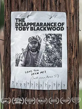 The Disappearance of Toby Blackwood封面图