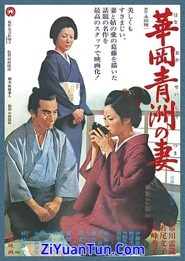 华岗青洲之妻封面图