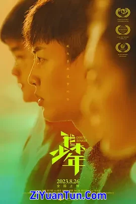 我本少年封面图