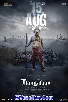 黄金矿工封面图