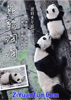 熊猫淘淘封面图