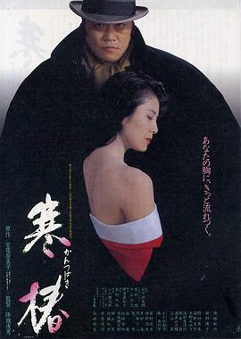 寒椿封面图