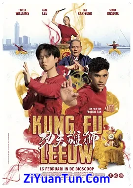 功夫雄狮