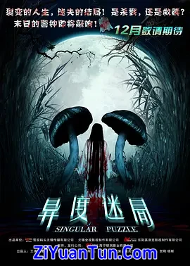 异度迷局封面图