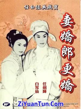 妻娇郎更娇封面图