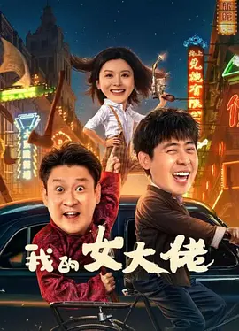 我的女大佬封面图