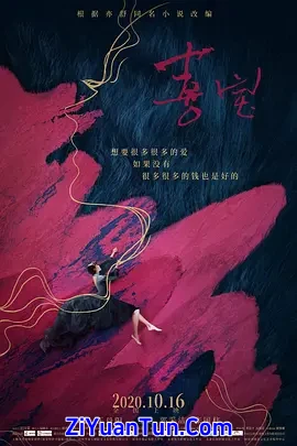 喜宝封面图