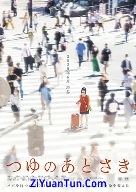 雨季过后封面图
