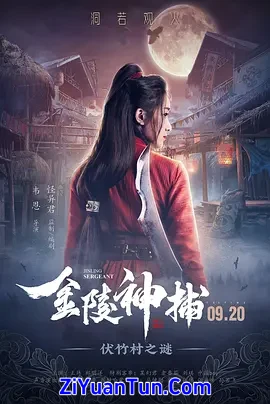 金陵神捕封面图