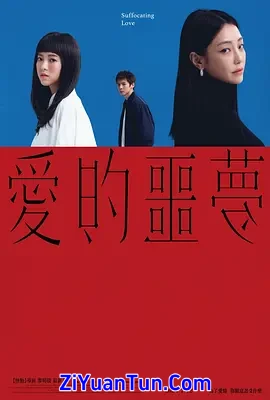 爱的噩梦封面图