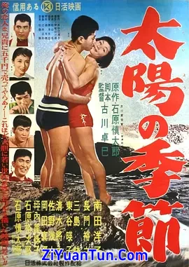 太阳的季节封面图