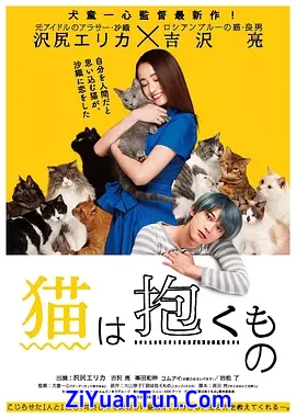 猫是要抱着的封面图