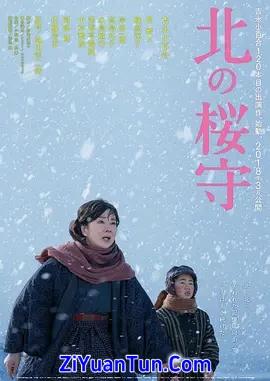 北之樱守封面图