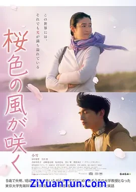 风临樱花开封面图