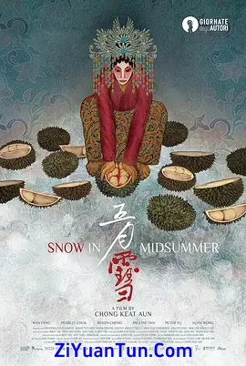 五月雪封面图