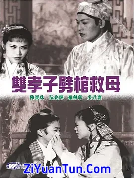 双孝子劈棺救母封面图