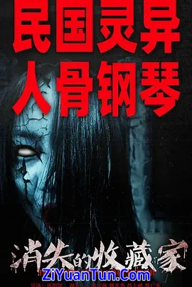 消失的收藏家封面图