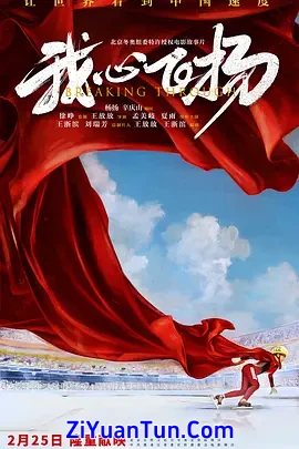 我心飞扬封面图